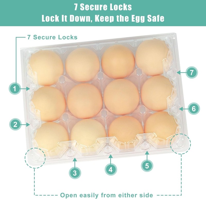100 Packs Egg Cartons Cheap Bulk Plastic for 12 Eggs Clear Egg Cartons gallery