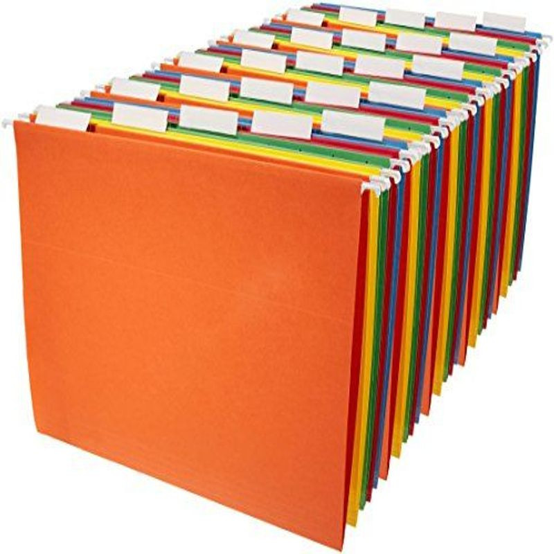 Basics Hanging Organizer File Folders – Letter Size, Assorted Colors, 25-