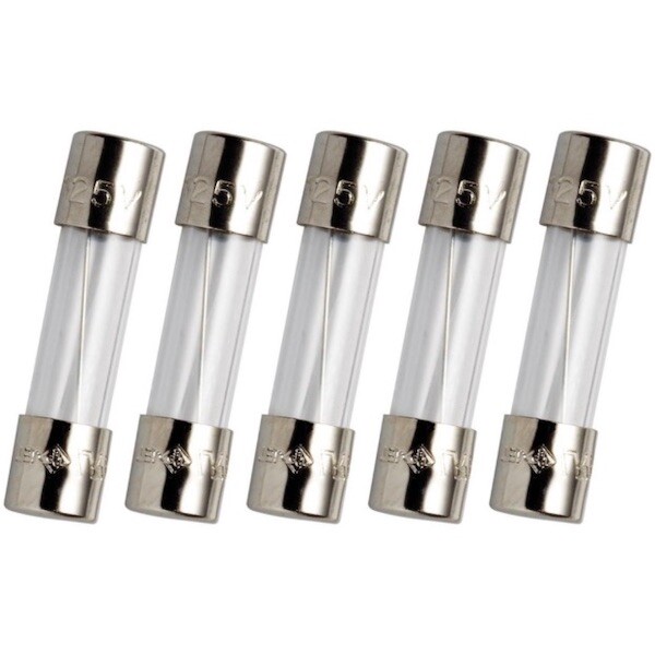 GDC 100mA (0.1A) 250V Slow Blow (Time Delay) Glass Fuses 5X20mm T100mA, 100 mAmp