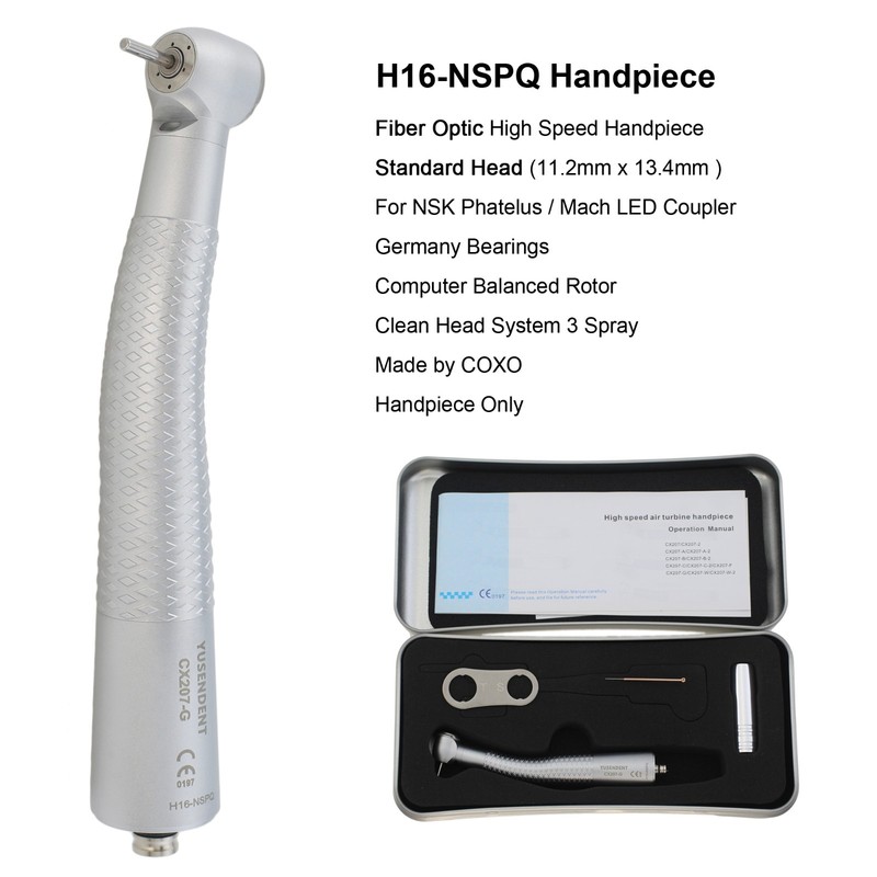BEING Handpiece COXO Dental Fiber Optic High Speed For NSK Coupler 4 6 Hole