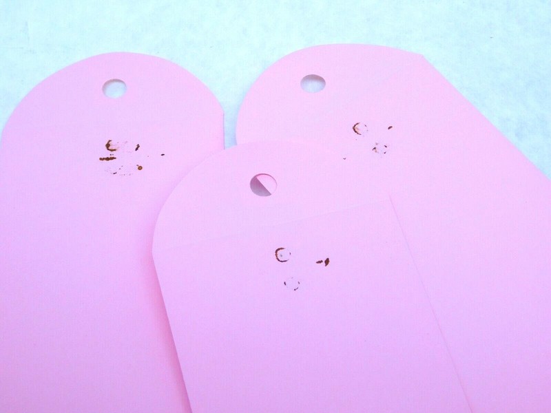 #5-1/2 Business Coin Metal Clasp Envelopes (3-1/8" x 5-1/2") - 32lb. Pink (GI) gallery