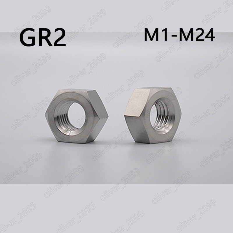 Titanium GR2 Hexagon Nut Hex Nuts M1 M1.4 M1.6 M2 M3 M4 M5 M6 M8 M10 M12 M16-M24