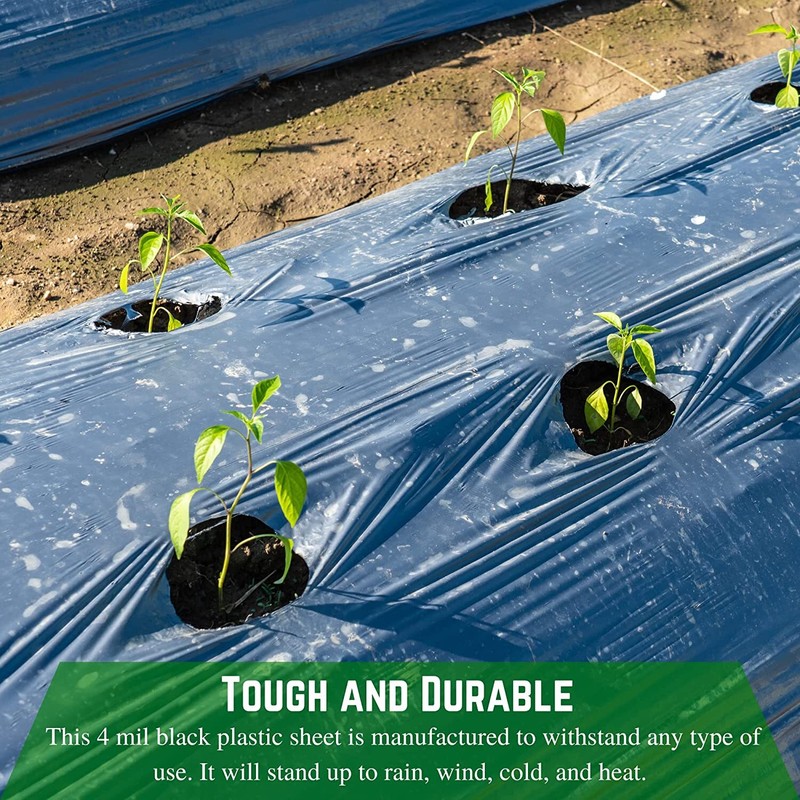 Poly Cover - 4 Mil Black Plastic Sheeting gallery