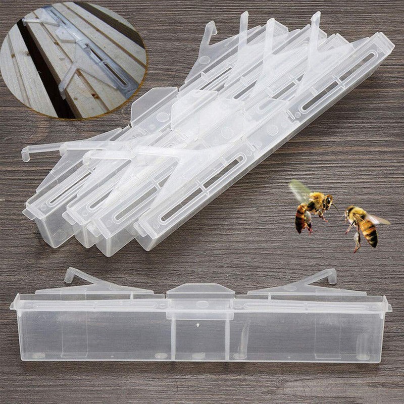 6PCS Small Bee Hive Beetle Blaster BeeHive Trap Beekeeping Tool Plastic NEW
