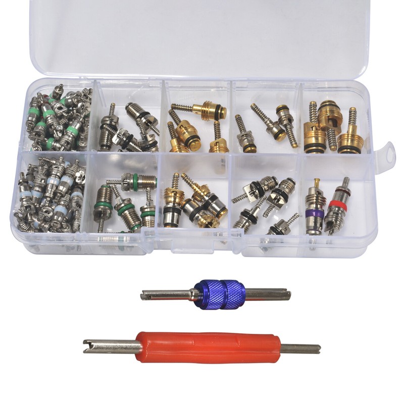 102pcs Car R12 R134a A/C Schrader Valve Core Remover Tool Kit