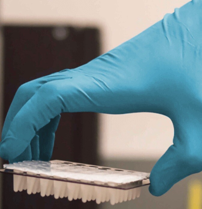 Gloveworks Blue Nitrile PF Exam Gloves - 7 mil - (Case of 10 Boxes/500 Gloves) gallery