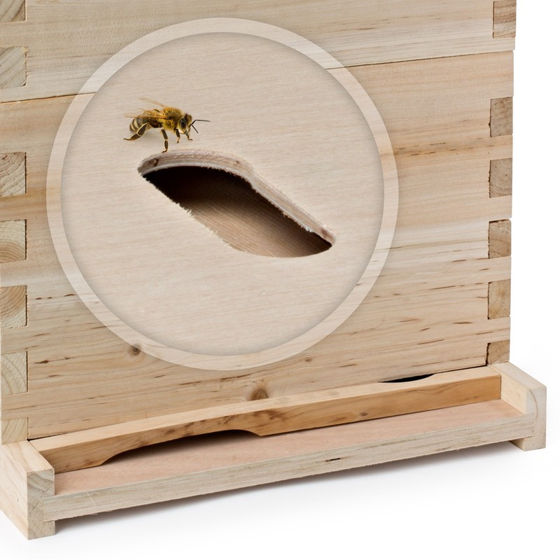 Beehive 20 Frame Complete Box Kit (10 Deep-10 Medium) Langstroth Beekeeping gallery